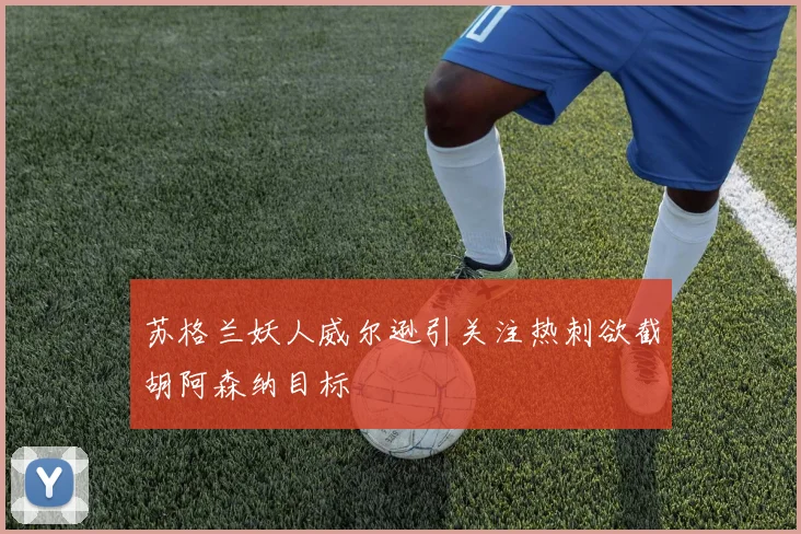 苏格兰妖人威尔逊引关注热刺欲截胡阿森纳目标