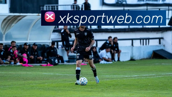 星空体育平台生态图